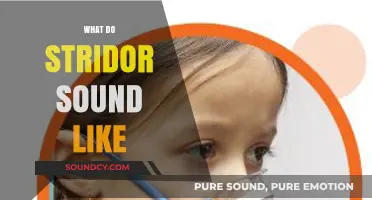 Understanding Stridor: What Does This Breathing Sound Like and Why?