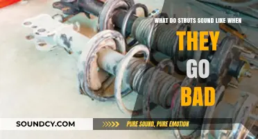 Decoding the Rattling: Signs Your Struts Are Failing