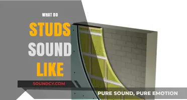 What Do Studs Sound Like? Exploring the Unique Noises of Studs