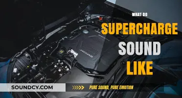 The Roaring Symphony: Unveiling the Unique Sounds of Superchargers