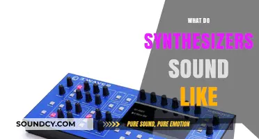 Exploring the Unique Sonic Palette: What Do Synthesizers Sound Like?