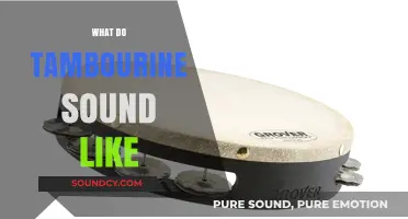 Exploring the Unique, Vibrant Sound of a Tambourine: What to Expect