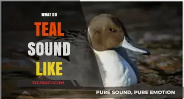 Unveiling the Unique Sounds of Teal: A Comprehensive Exploration