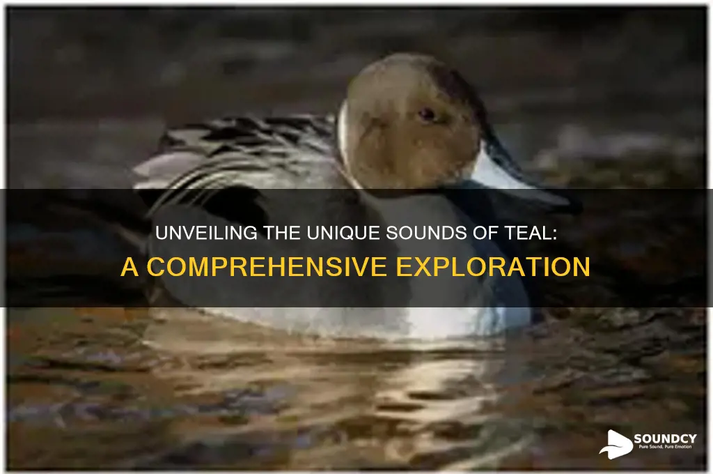 what do teal sound like