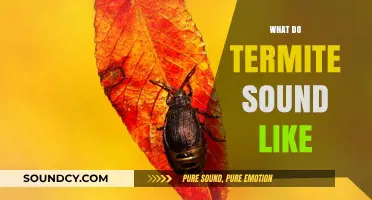 Uncovering the Mysterious Sounds of Termites: What Do They Sound Like?