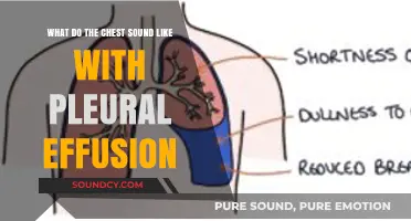 Exploring the Silent Signs: What Do Chest Sounds Reveal About Pleural Effusion?