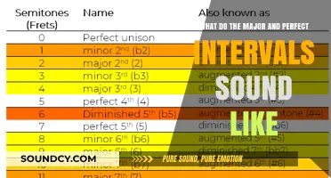 Exploring the Sonic World of Major and Perfect Intervals