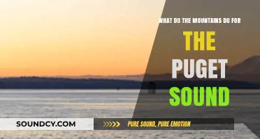 Nature's Guardians: How Mountains Protect and Nourish Puget Sound