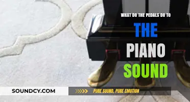 Harmonious Transformations: Unveiling the Magic of Piano Pedals