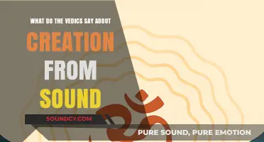 Echoes of the Cosmos: Vedic Insights on Creation from Sound
