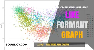 Visualizing Vowel Sounds: A Journey Through Formant Graphs