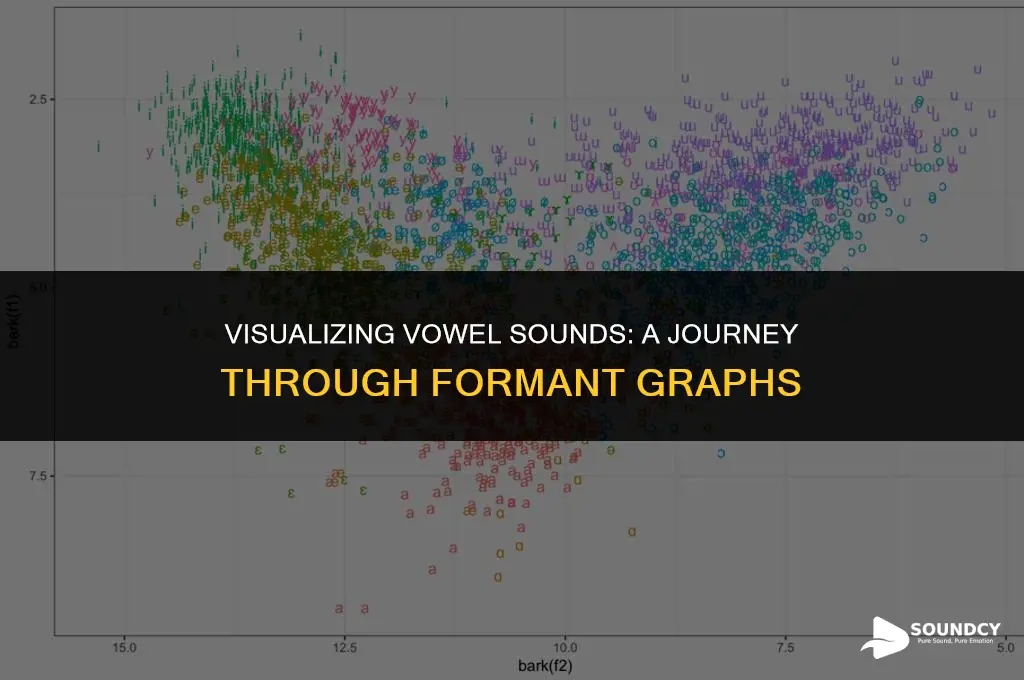 what do the vowel sounds look like formant graph