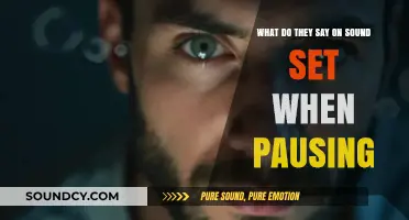 Decoding the Silence: What They Say When the Sound Set Pauses