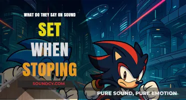 Decoding the Sonic Signals: What Happens When the Music Stops?