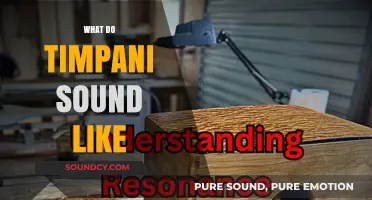 Exploring the Deep, Resonant Thunder of Timpani: A Sonic Journey