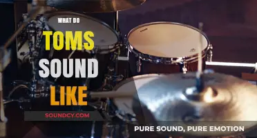 Exploring the Unique Sound of Toms: A Drummer's Guide to Their Tone