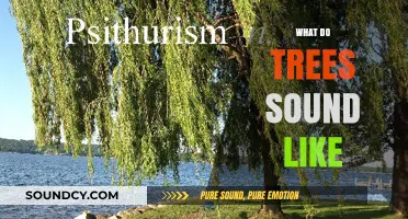 Listening to Nature: Unveiling the Whispers and Rustles of Trees