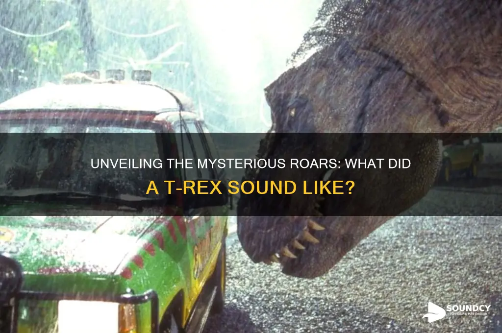 what do trex sound like