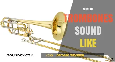 Exploring the Rich, Bold, and Versatile Sound of Trombones
