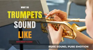 Exploring the Bright, Bold, and Vibrant Sound of Trumpets