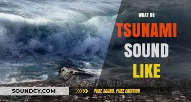 Unveiling the Haunting Sounds of Tsunamis: What Do They Sound Like?