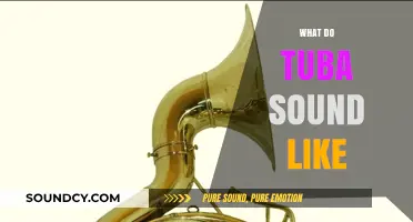 Exploring the Deep, Rich, and Resonant Sound of the Tuba
