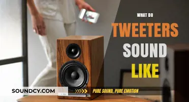 Exploring the Unique Sounds of Tweeters in Audio Systems