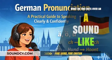 Exploring the Unique Sound of the 'Ä' in Different Languages
