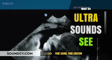 Unveiling the Mysteries: What Ultrasounds Reveal About Your Body