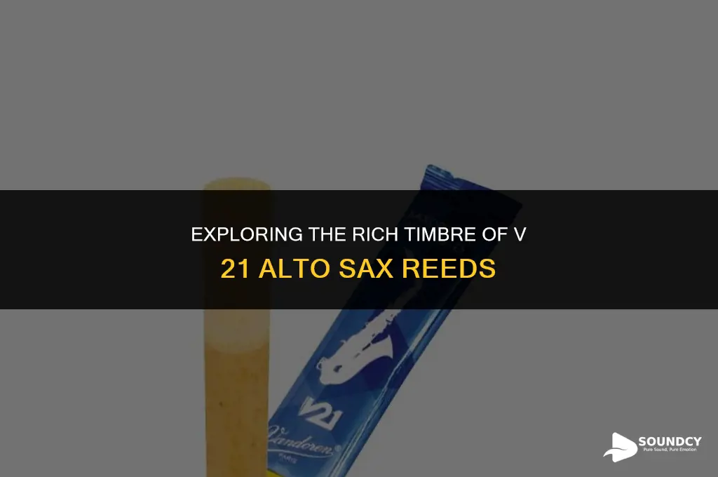 what do v 21 alto sax reeds sound like
