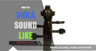 Discover the Rich, Warm, and Expressive Sound of the Viola