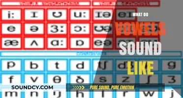 Exploring the Unique Sounds of Vowels: A Comprehensive Guide to Their Pronunciation