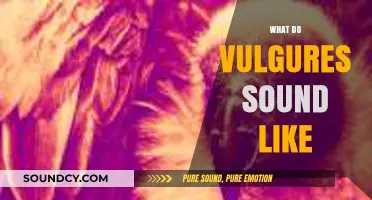 Unveiling the Unique Sounds of Vultures: A Comprehensive Audio Guide