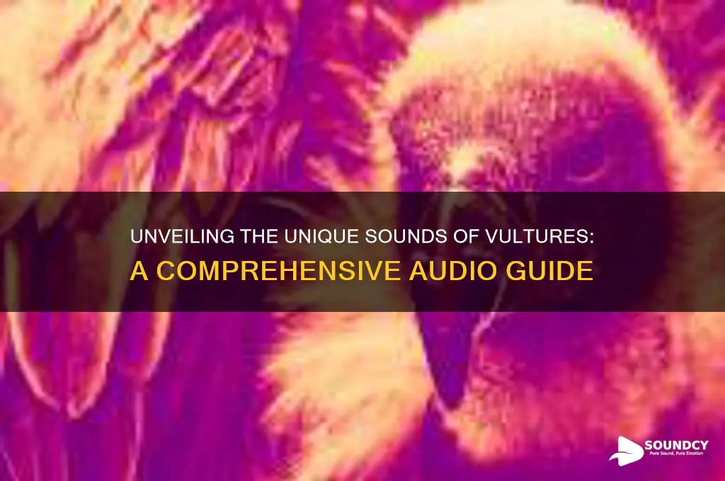 what do vulgures sound like