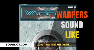 Unveiling the Mystical Sounds of Warpers: A Sonic Exploration