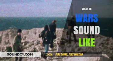 Echoes of Conflict: Decoding the Sonic Landscape of War's Chaos
