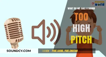 Exploring the Sonic Spectrum: Understanding High-Pitched Sounds