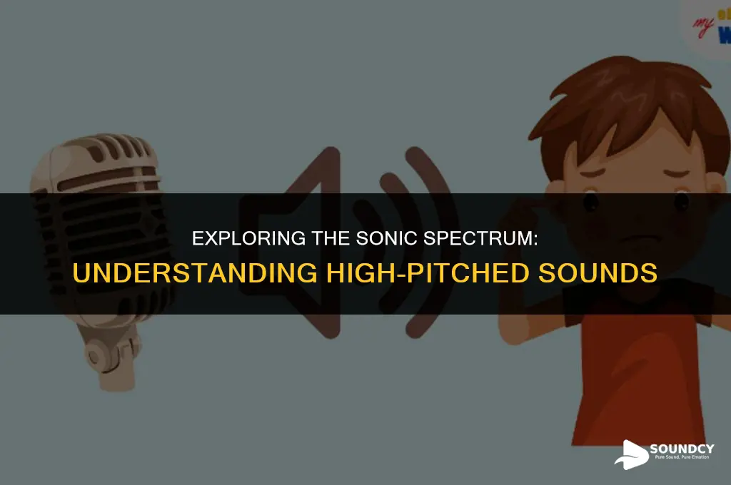 what do we call a sound too high pitch
