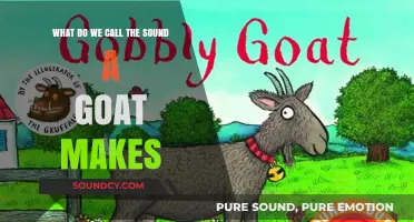 Decoding Goat Sounds: A Comprehensive Guide to Caprine Vocalizations