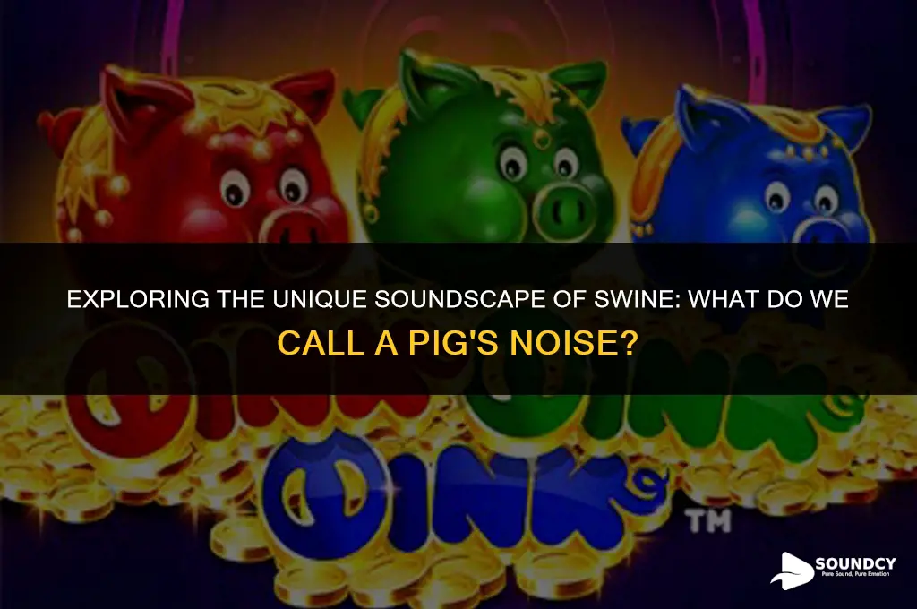what do we call the sound made by pig