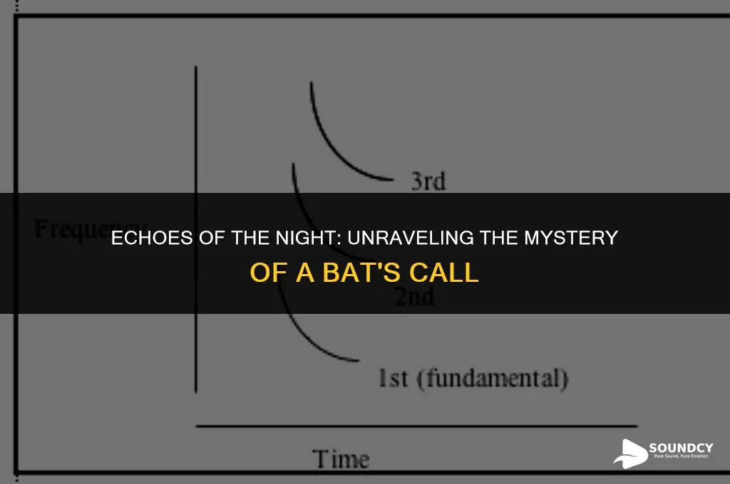what do we call the sound of a bat