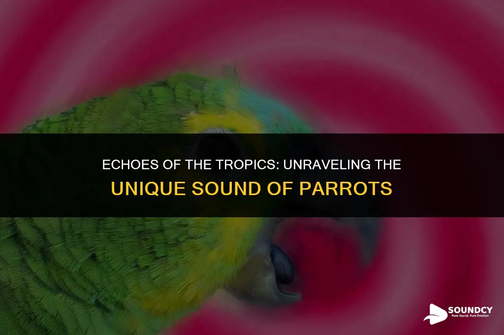 what do we call the sound of a parrot