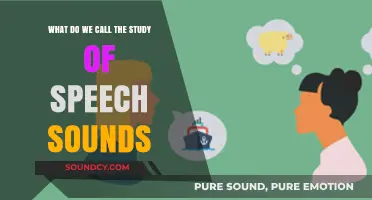 Exploring Phonetics: The Fascinating Study of Speech Sounds