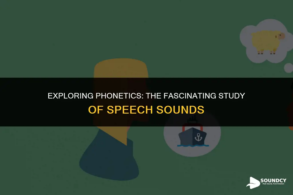 what do we call the study of speech sounds