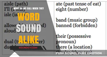 Echoes in Language: Exploring the Fascinating World of Homophones
