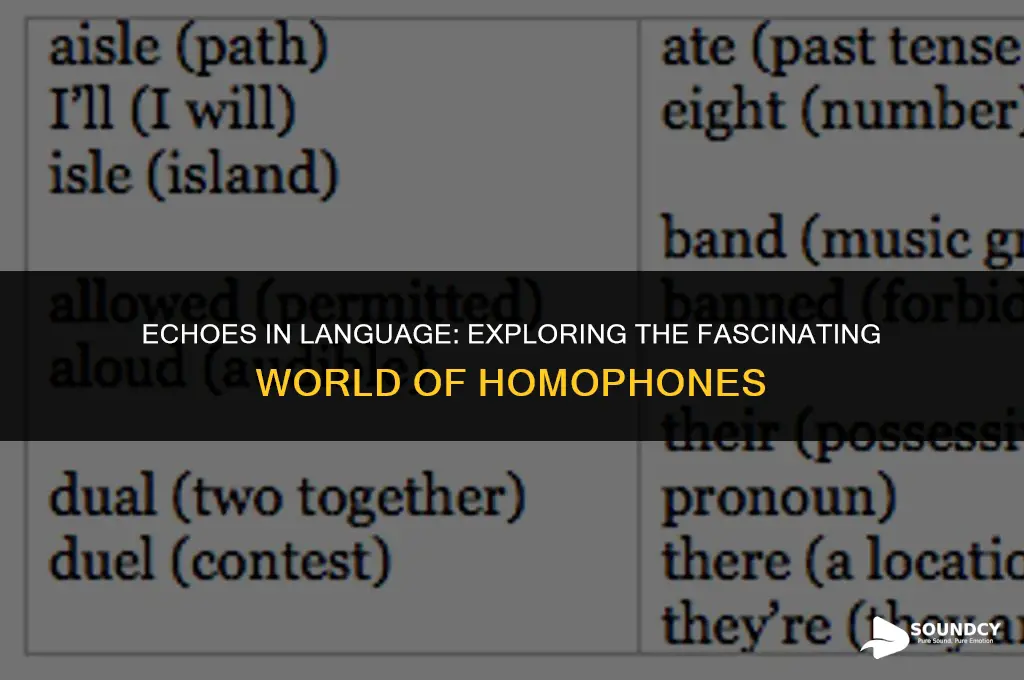 what do we call when they word sound alike