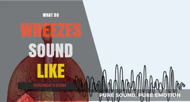 Understanding Wheezing: What Do Wheezes Sound Like and When to Worry