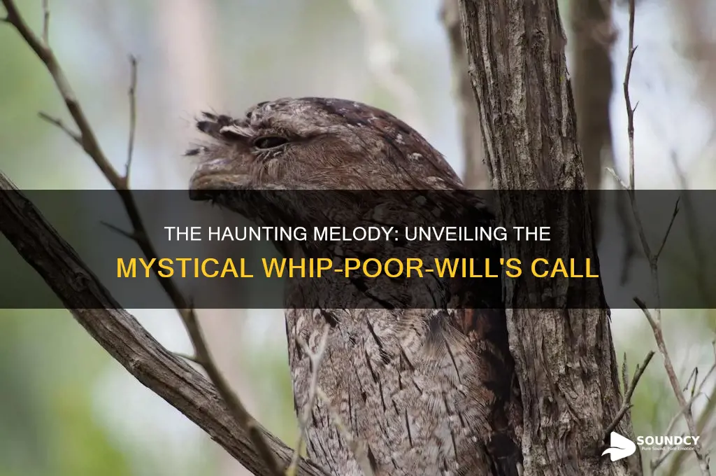 what do whipporwills sound like