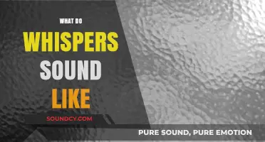 Unveiling the Soft Mystery: What Do Whispers Truly Sound Like?