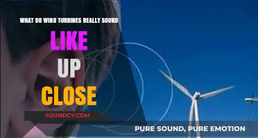 Exploring the Sonic Landscape: What Wind Turbines Really Sound Like Up Close